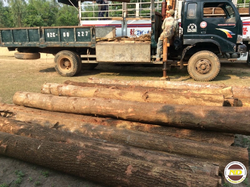 GỖ TRÀM TRÒN - MS39